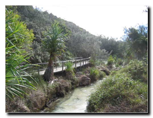 Fraser Island 05